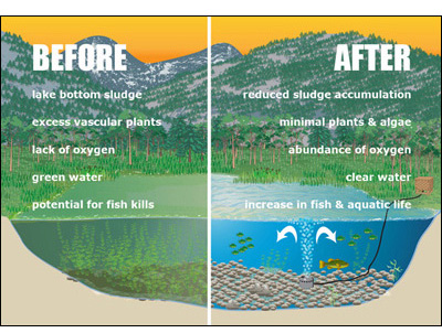 before and after lake management