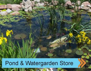 pond & watergarden supplies & equipment at Hahn's Ponds